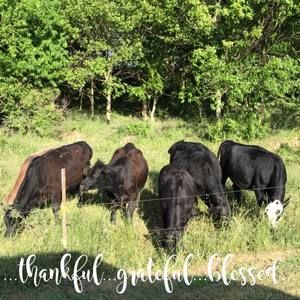 Meet your Posher, Micci